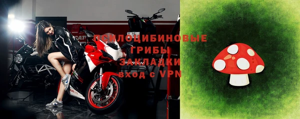 МДПВ Мегион