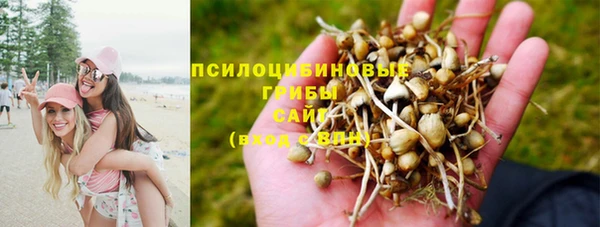 крисы Абинск