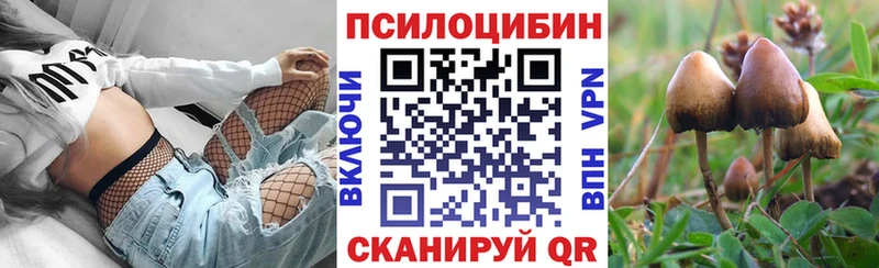 Псилоцибиновые грибы Magic Shrooms Димитровград