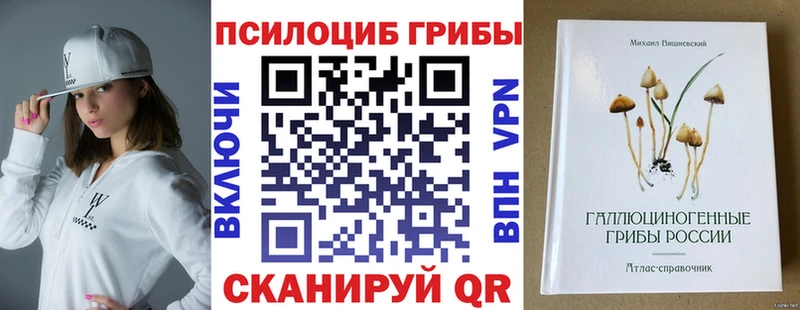 блэк спрут рабочий сайт Димитровград Галлюциногенные грибы Psilocybine cubensis