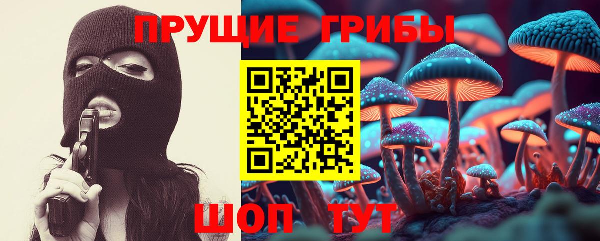 где найти   Галлюциногенные грибы прущие грибы  Вход с VPN  Димитровград 